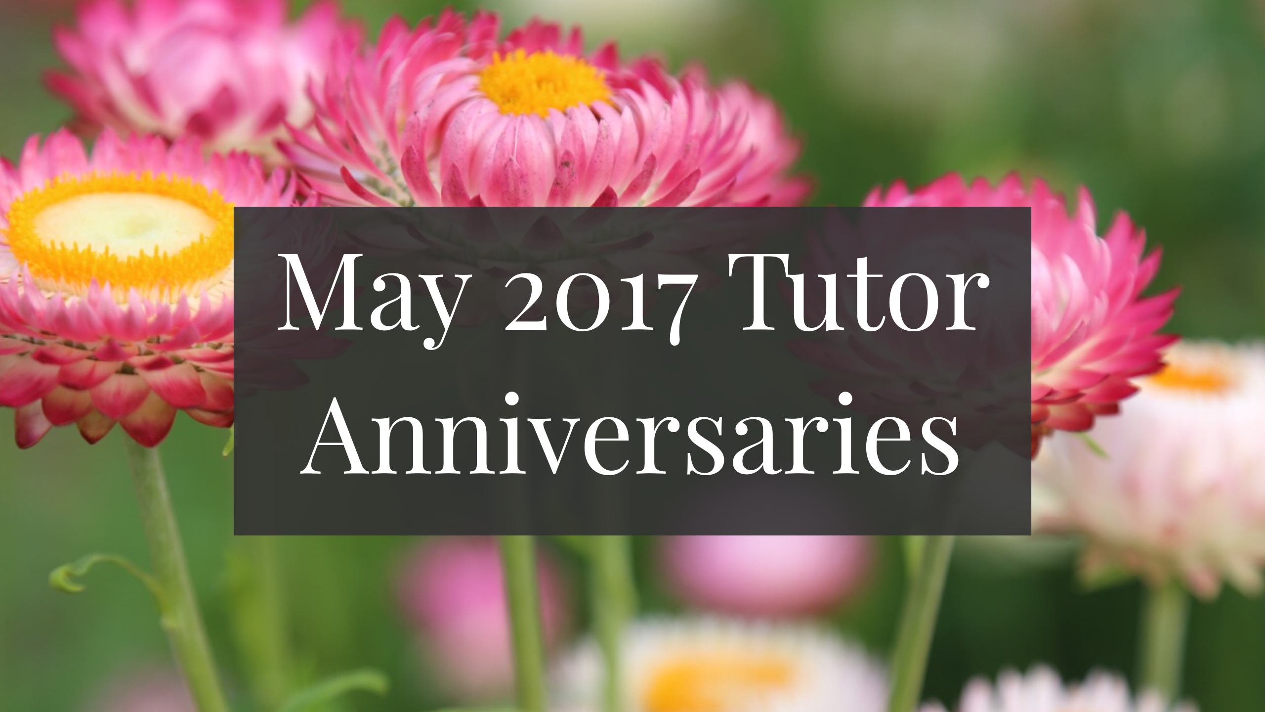 Tutor Anniversaries May 2017