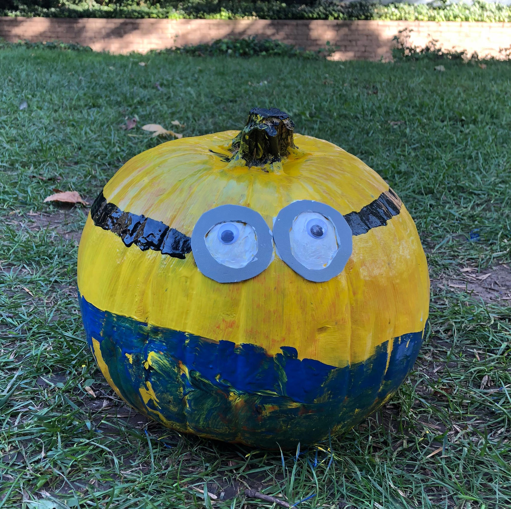 A rough start leads to a happy pumpkin