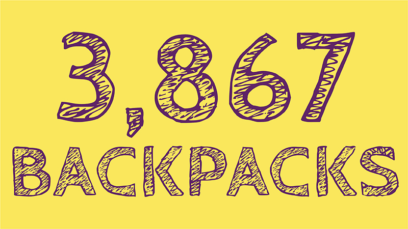 3867 backpacks